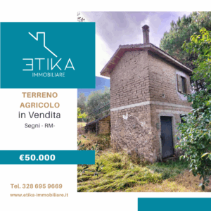 Vendesi terreno agricolo con annesso magazzino, Segni V250618