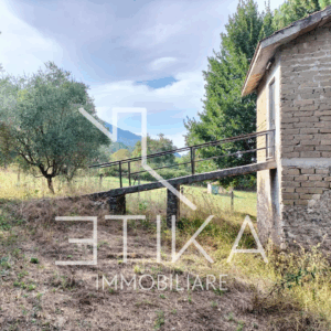 Vendesi terreno agricolo con annesso magazzino, Segni V250618