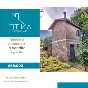 Vendesi terreno agricolo con annesso magazzino, Segni V250618